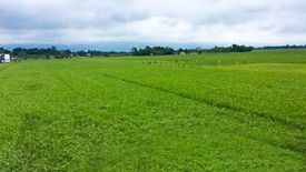 Land for sale in Bascaran, Nueva Vizcaya
