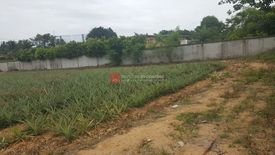 Land for sale in Pong, Chonburi