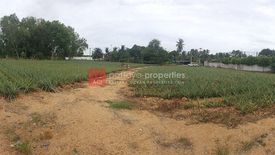 Land for sale in Pong, Chonburi