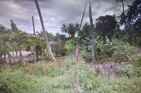 Land for sale in Kampung Api Api, Selangor