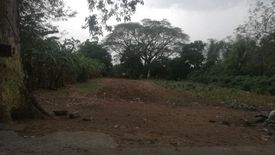 Land for sale in Angad, Abra