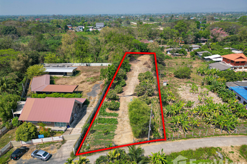 Land for sale in Khua Mung, Chiang Mai