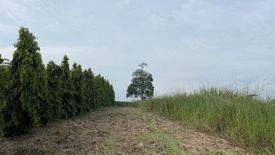 Land for sale in Bo Win, Chonburi