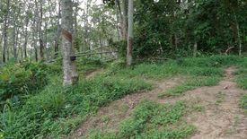 Land for sale in Chalong, Phuket