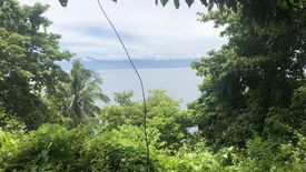 Land for sale in Licup, Davao del Norte