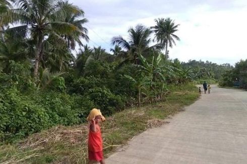 Land for sale in Sico-Sico, Surigao del Norte