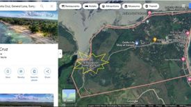 Land for sale in Sico-Sico, Surigao del Norte