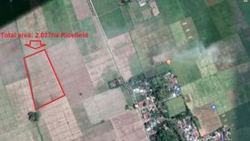 Land for sale in Patimbao, Laguna