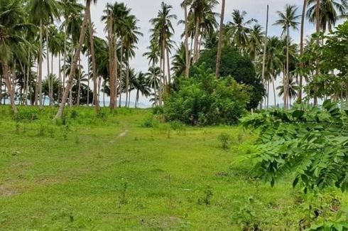 Land for sale in Kemdeng, Palawan