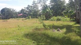Land for sale in Bingag, Bohol