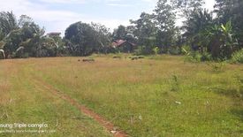 Land for sale in Bingag, Bohol