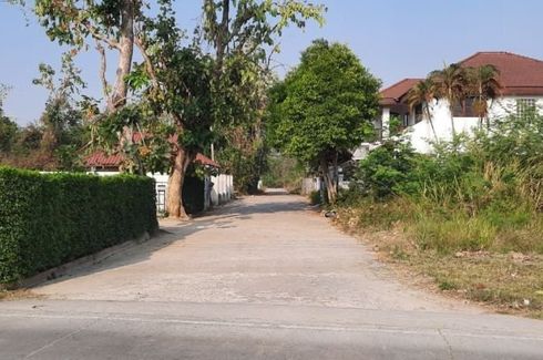 Land for sale in San Phak Wan, Chiang Mai