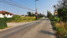 Land for sale in San Phak Wan, Chiang Mai