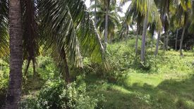 Land for sale in Dao, Bohol