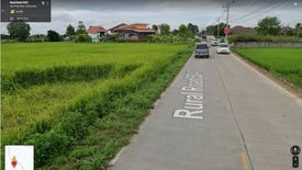 Land for sale in San Phak Wan, Chiang Mai