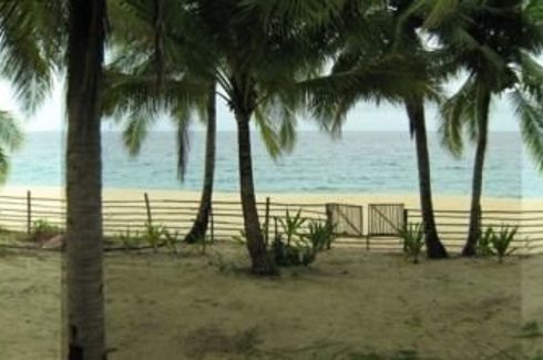 Land for sale in Alimanguan, Palawan