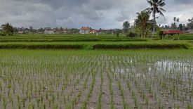 Tanah dijual dengan  di Batubulan, Bali