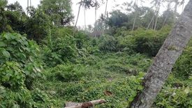 Tanah dijual dengan  di Batubulan, Bali