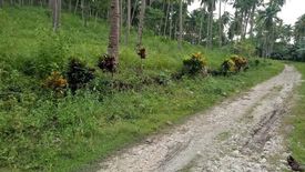 Land for sale in Peñaplata, Davao del Norte