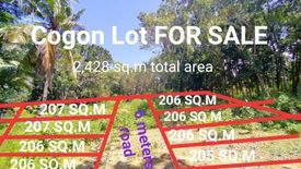 Land for sale in Cogon, Bohol