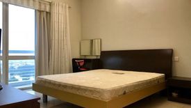 Cho thuê căn hộ chung cư 3 phòng ngủ tại Đào Hữu Cảnh, Châu Phú, An Giang