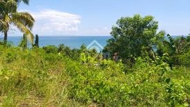 Land for sale in Puente, Cebu