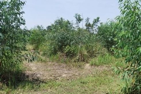 Land for sale in Kham Ta Kla, Sakon Nakhon