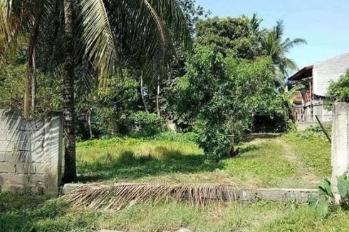 Land for sale in Calinan, Davao del Sur