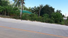 Land for sale in Danao, Bohol