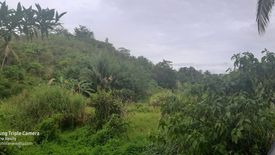 Land for sale in San Roque, Bohol