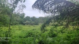 Land for sale in San Roque, Bohol