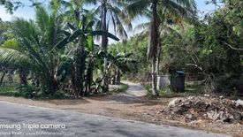 Land for sale in Tawala, Bohol