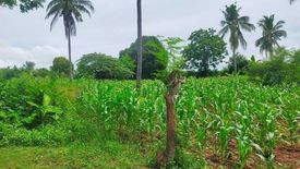 Land for sale in Caputatan Norte, Cebu