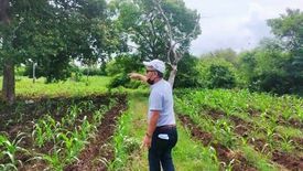 Land for sale in Caputatan Norte, Cebu