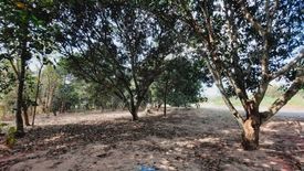 Land for sale in Huai Yai, Chonburi