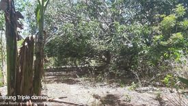 Land for sale in Libaong, Bohol