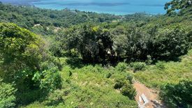 Land for sale in Ang Thong, Surat Thani