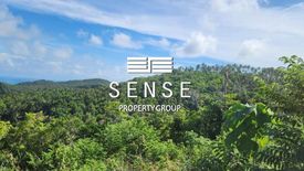 Land for sale in Ko Pha-ngan, Surat Thani