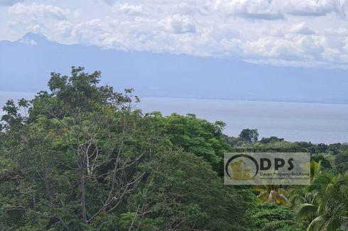 Land for sale in Poblacion, Davao del Norte