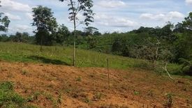Land for sale in San Miguel, Bukidnon
