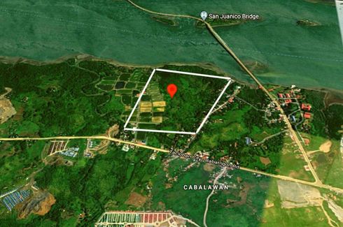 Land for sale in Barangay 97, Leyte