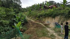 Land for sale in Jerantut, Pahang