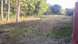 Land for sale in Dao, Bohol