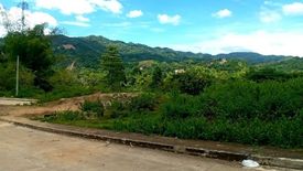 Land for sale in Pulangbato, Cebu