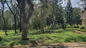 Land for sale in Santo Domingo, Laguna