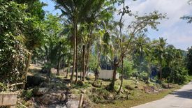 Land for sale in Mae Nam, Surat Thani