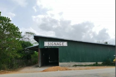 Commercial for rent in Barangay VI, Palawan