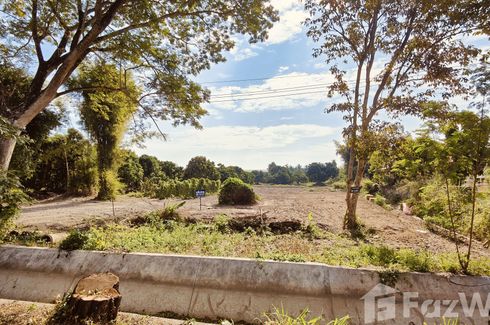 Land for sale in Nong Han, Chiang Mai