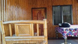 2 Bedroom House for rent in Poblacion No. 8, Negros Oriental
