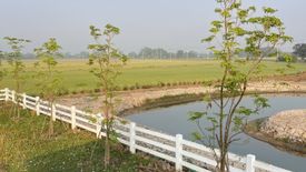 Land for sale in Bang Khwan, Chachoengsao